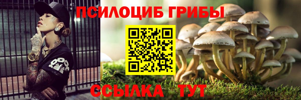 Галлюциногенные грибы Magic Shrooms  Галлюциногенные грибы Psilocybe  Вход с VPN  Советск 